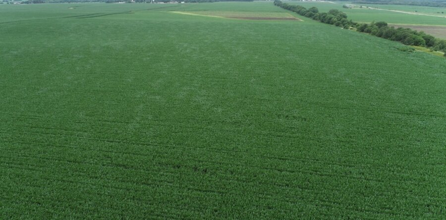 Franklin County 135 Acre Land Auction SOLD! $17,000/Acre