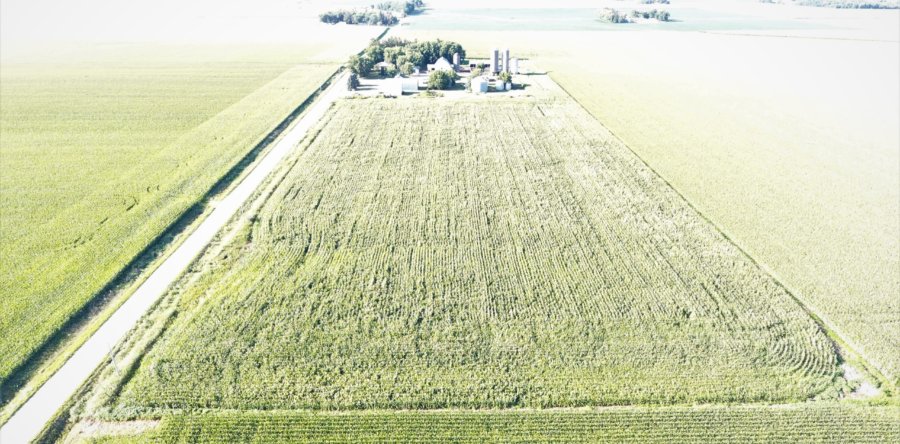 Chickasaw County Land, Building Site and Farm Site Auction SOLD