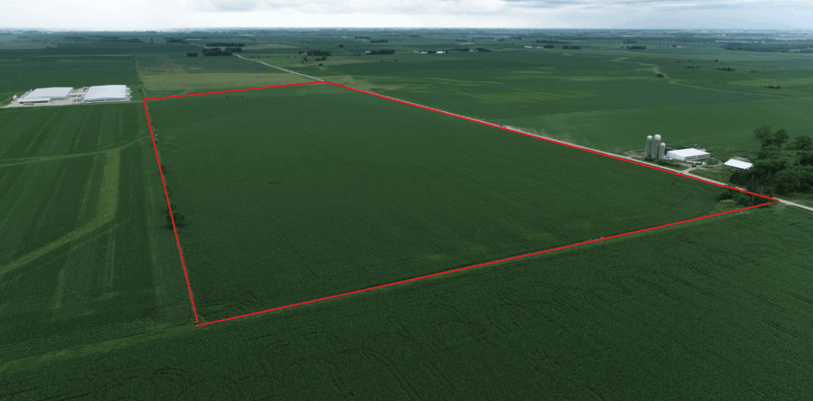 SOLD!! $1,952,000 Mitchell County  80 +/- Acre Farmland Auction