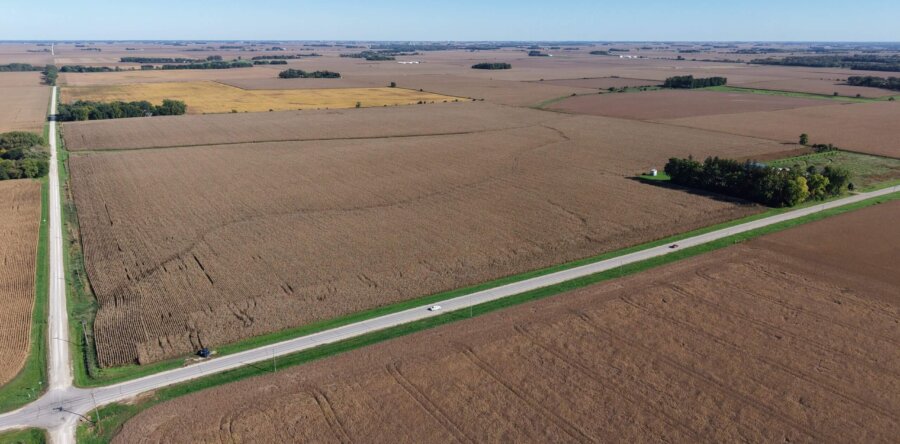 Floyd County 136 +/- Acre Farmland Auction-Live & Simulcast Bidding