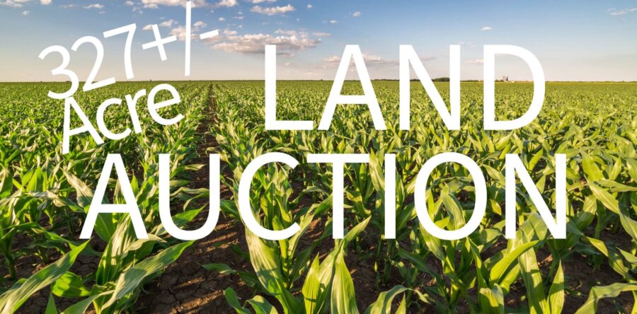 327+/- Acre Cerro Gordo Co. Farmland Auction-Live & Simulcast Bidding