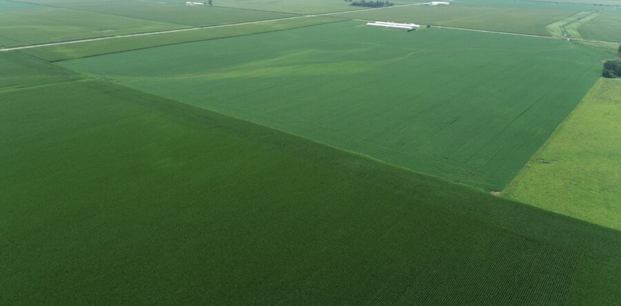 Mitchell County 235 +/- Acre Farmland Auction-Live & Simulcast Bidding